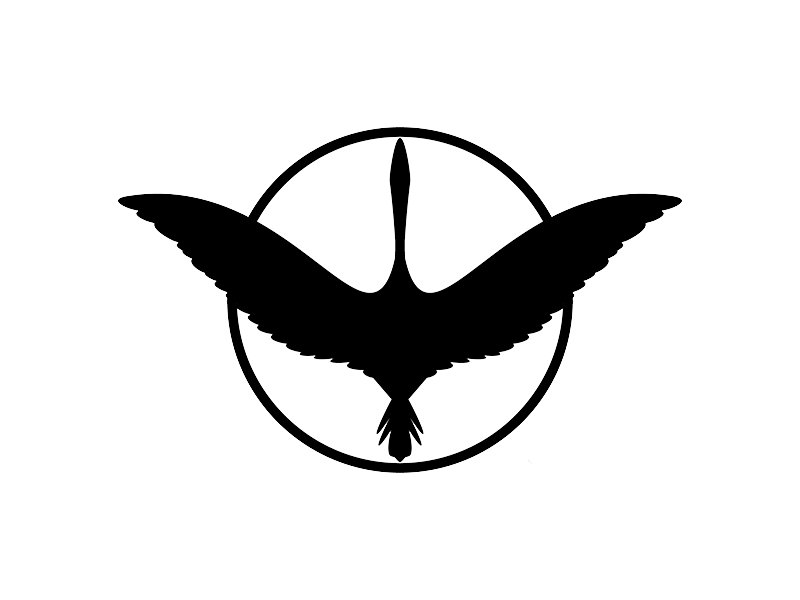 Sarus Aerospace Pvt. Ltd.